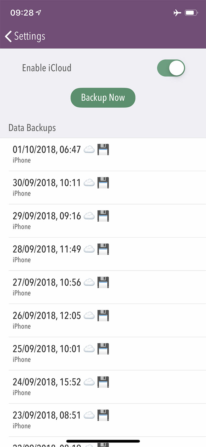 Screenshot showing the list of backups with the icons mentioned above.