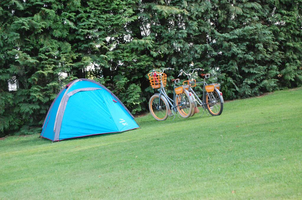 Jonas and Celia's bikes